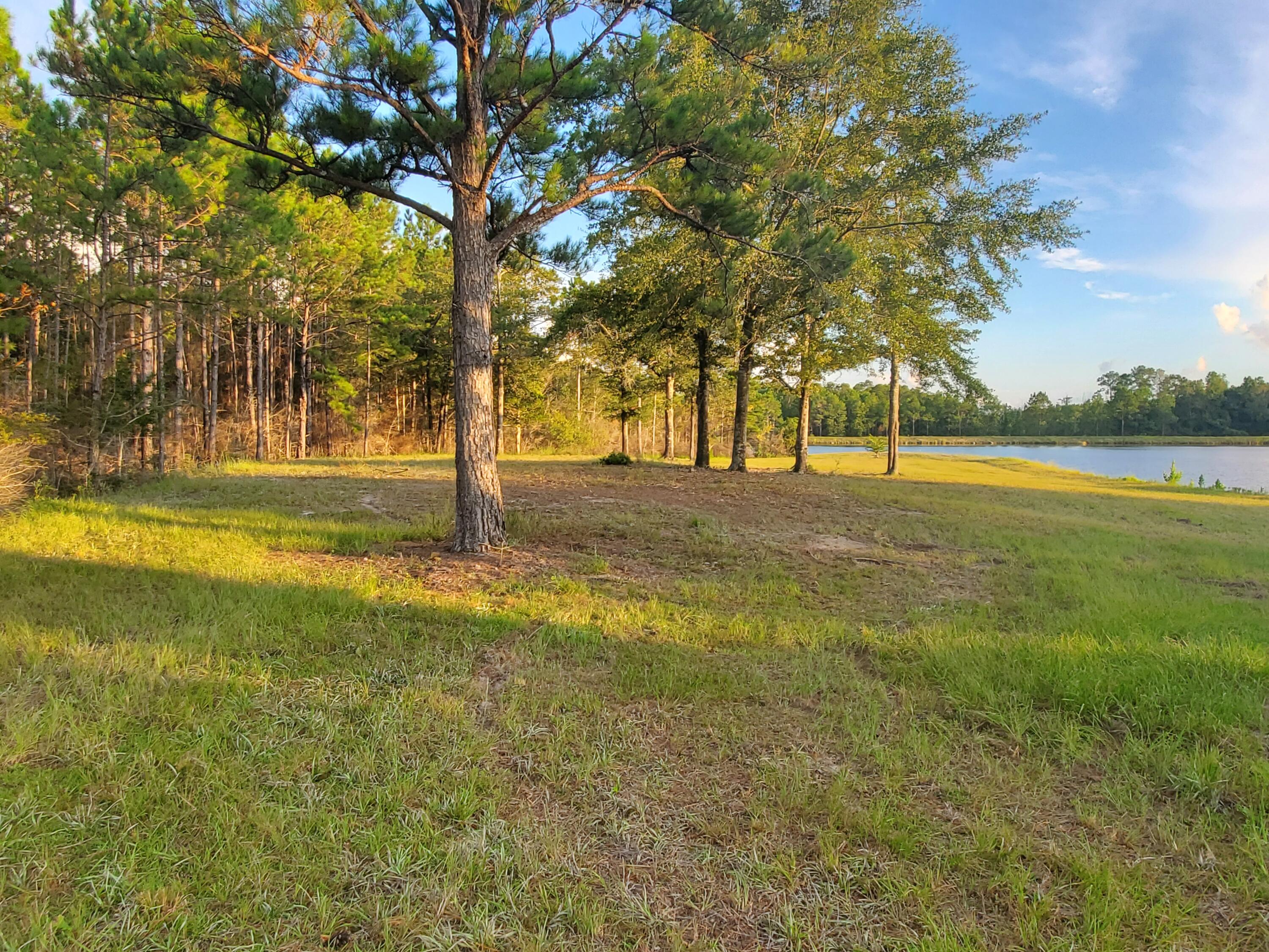 0 Higher Ground Road Laurel Hill, FL 32567 - Photo 3 of 27 20200821_184424