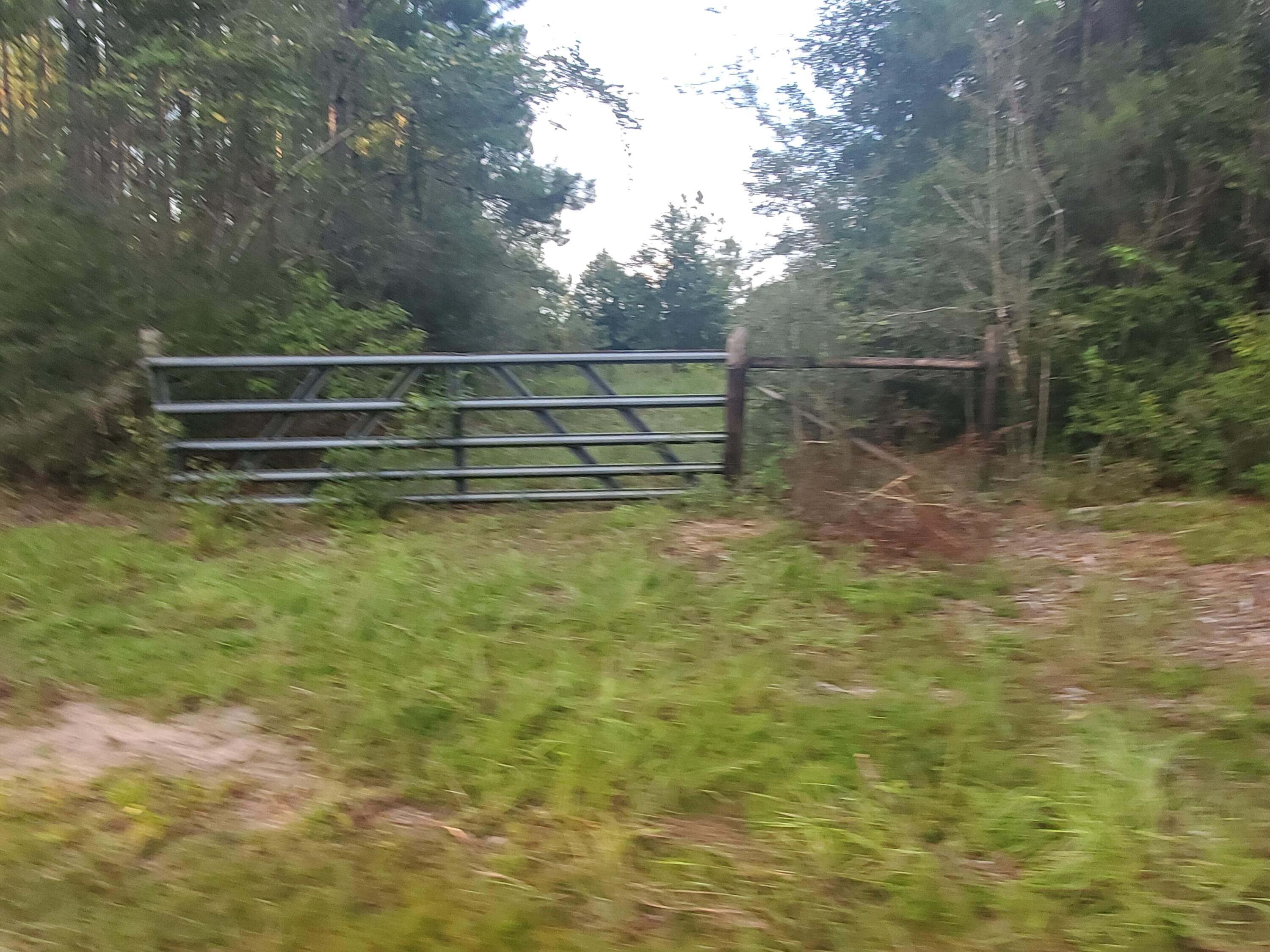 0 Higher Ground Road Laurel Hill, FL 32567 - Photo 6 of 27 20200821_184037