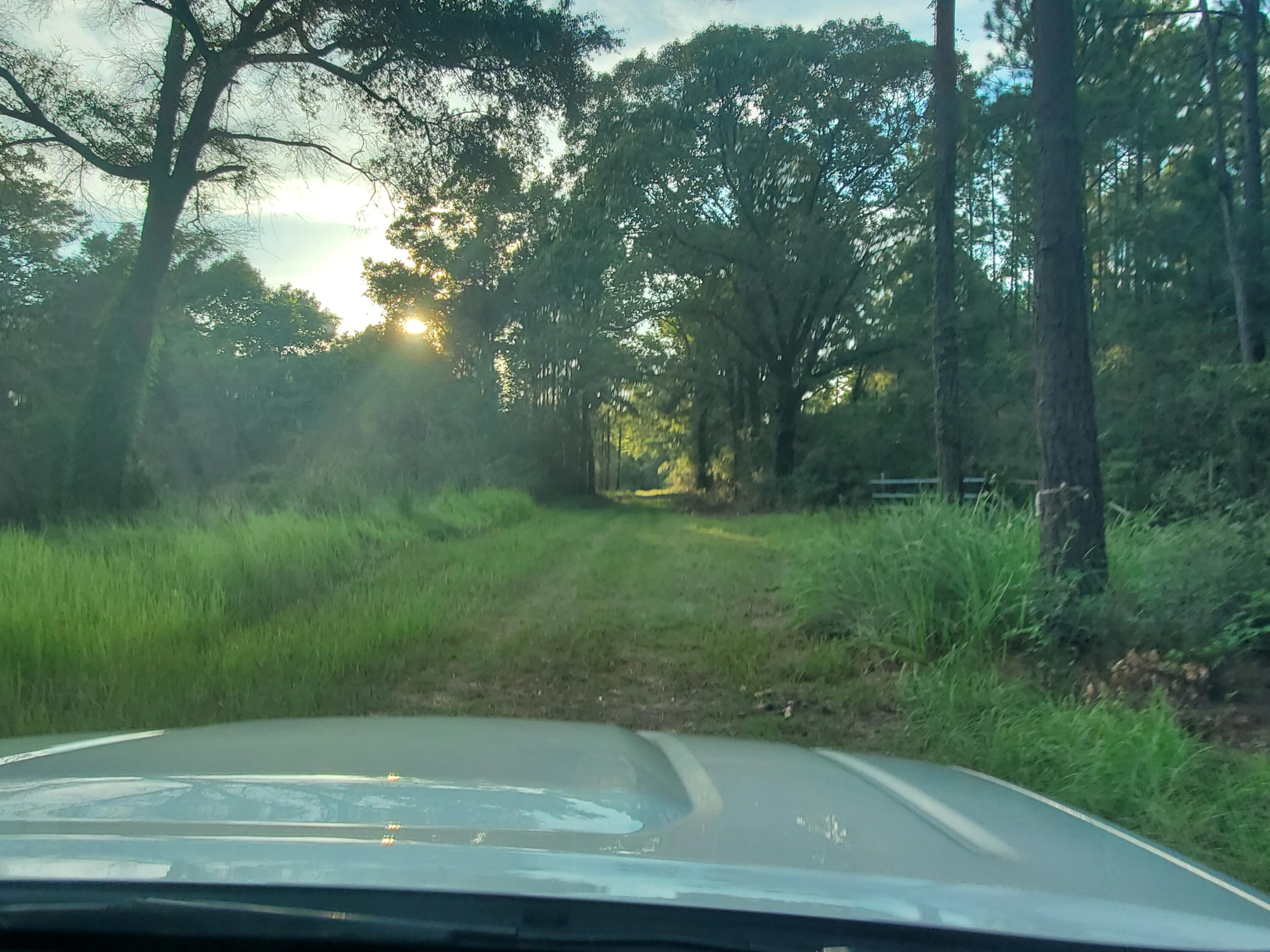 0 Higher Ground Road Laurel Hill, FL 32567 - Photo 7 of 27 20200821_184027