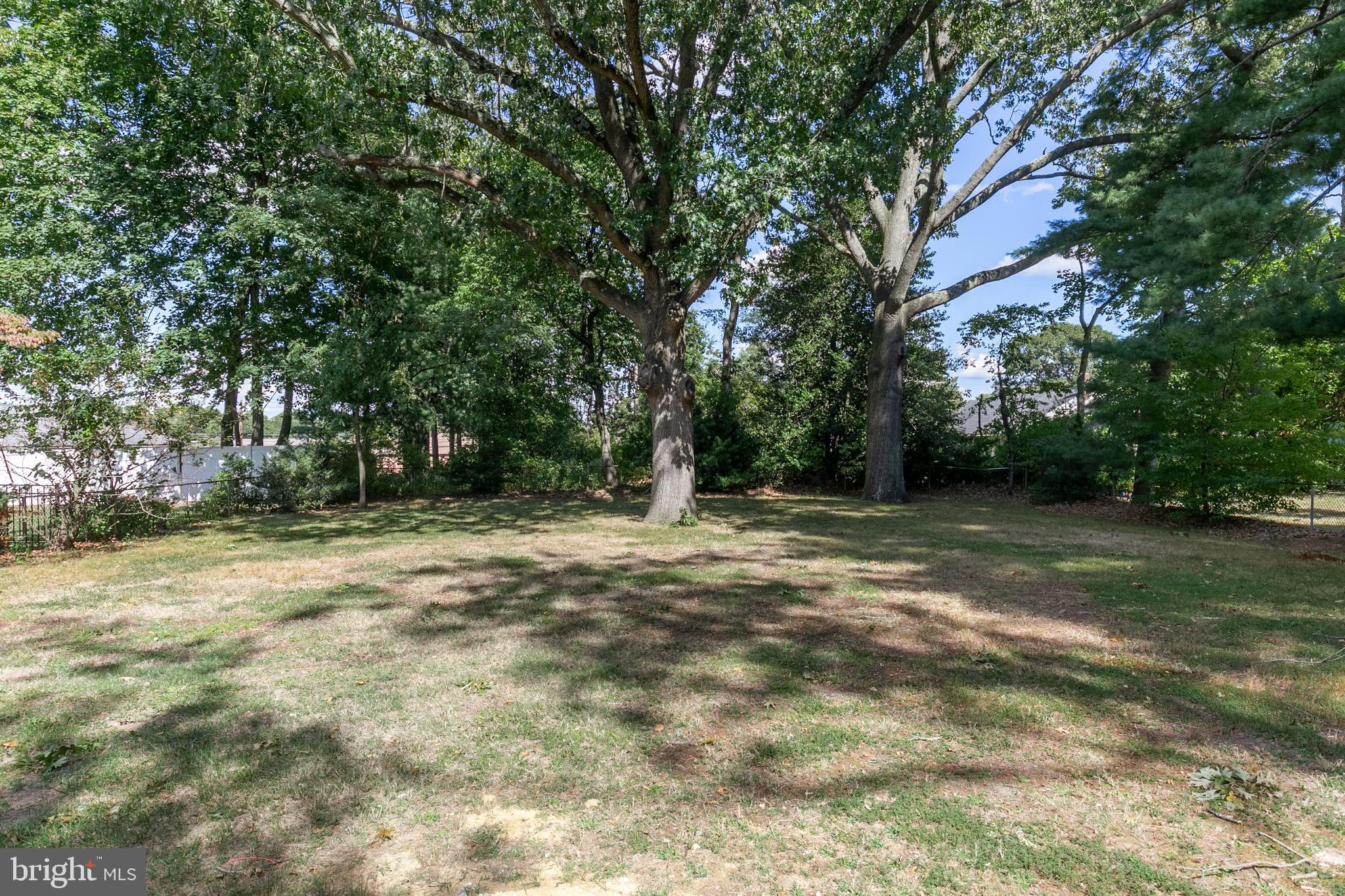 405 Hamilton Road Glassboro, NJ 08028 - Photo 28 of 28 a view of a yard with a tree