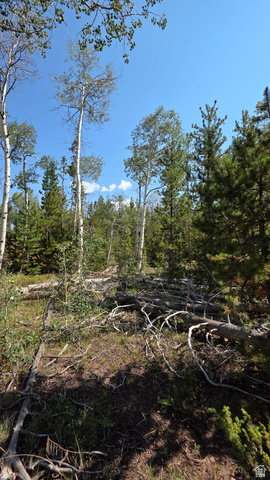 5085 Alpine Road, Unit 6 Evanston, UT 82930 - Photo 5 of 6 Forested parcel featuring mature trees, natural ground cover, and exposed timber