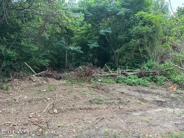 $10,000 | Mexico Lane, Wallins Creek, KY 40873