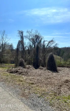 $10,000 | Mexico Lane, Wallins Creek, KY 40873