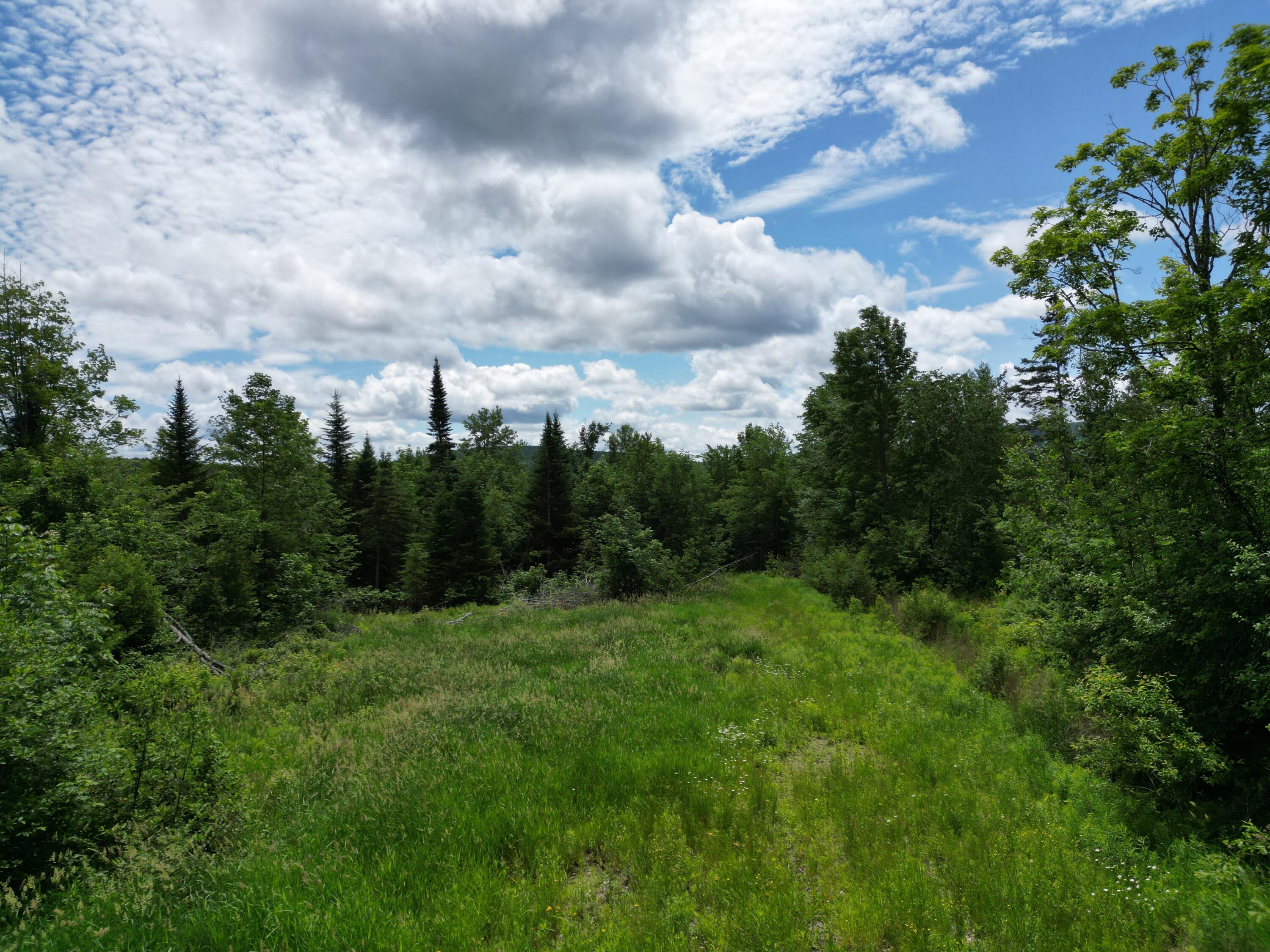 Lot 2 Main Road Carroll Plt, ME 04487 - Photo 7 of 14 DJI_0755