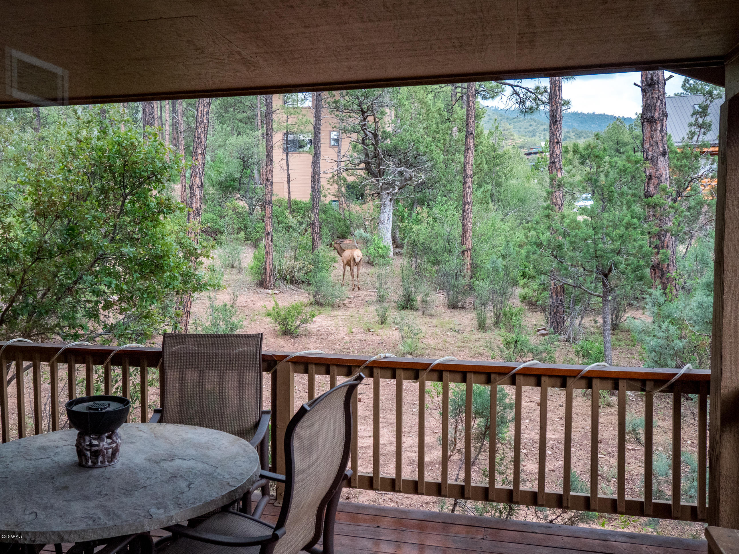 3743 Whispering Pines Road Pine, AZ 85544 - Photo 7 of 29 Elk Lunching in Back Yard