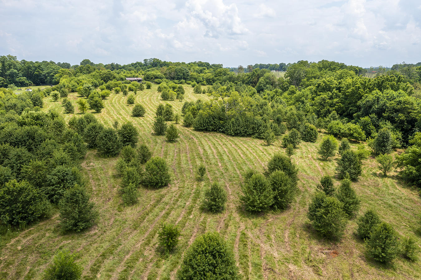246 Redmon Road Paris, KY 40361 - Photo 7 of 29 246redmon05