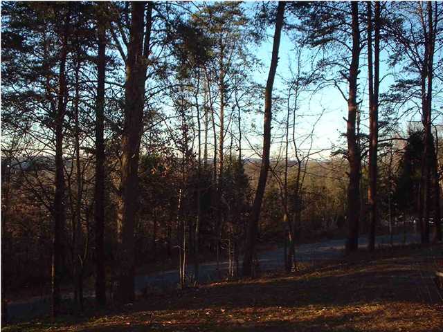502 Inman Street Ringgold, GA 30736 - Photo 9 of 9 Additional Photo