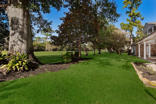 a view of a park with large trees