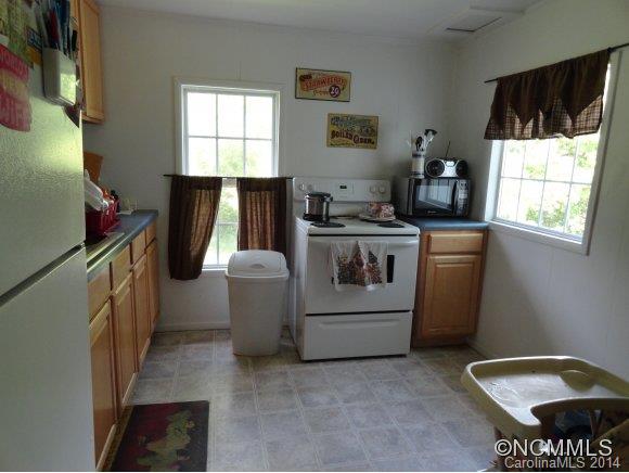 208 Phillipsville Loop Canton, NC 28716 - Photo 5 of 9