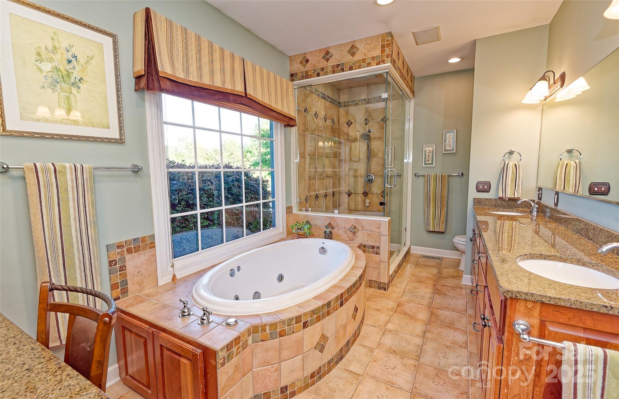 1250 Mountain Creek Road Rutherfordton, NC 28139 - Photo 24 of 48 a bathroom with a tub a sink and a large mirror