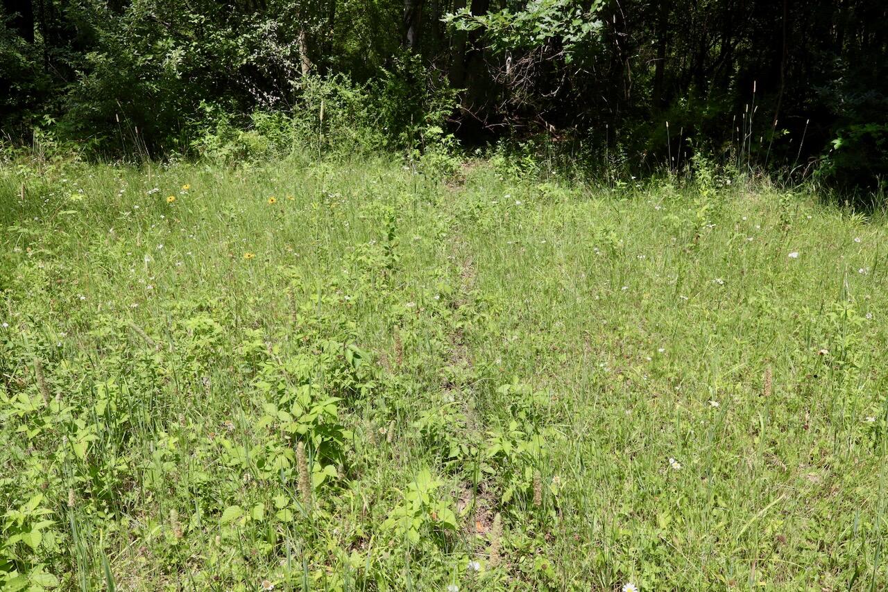 4718 Church Road Six Lakes, MI 48886 - Photo 30 of 76 029