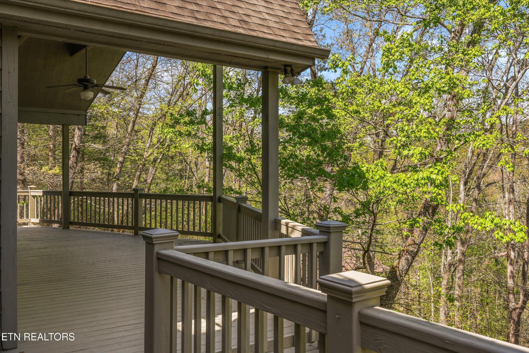 865 Stonegate Way Townsend, TN 37882 - Photo 46 of 60 a view of a balcony with swing