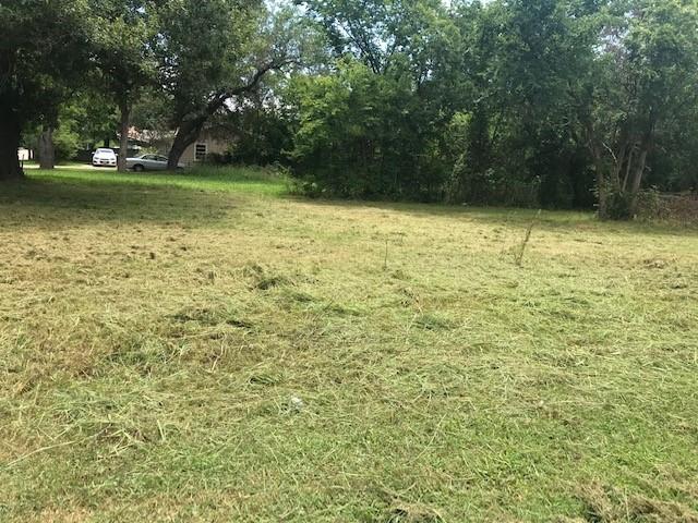 a view of a garden with trees