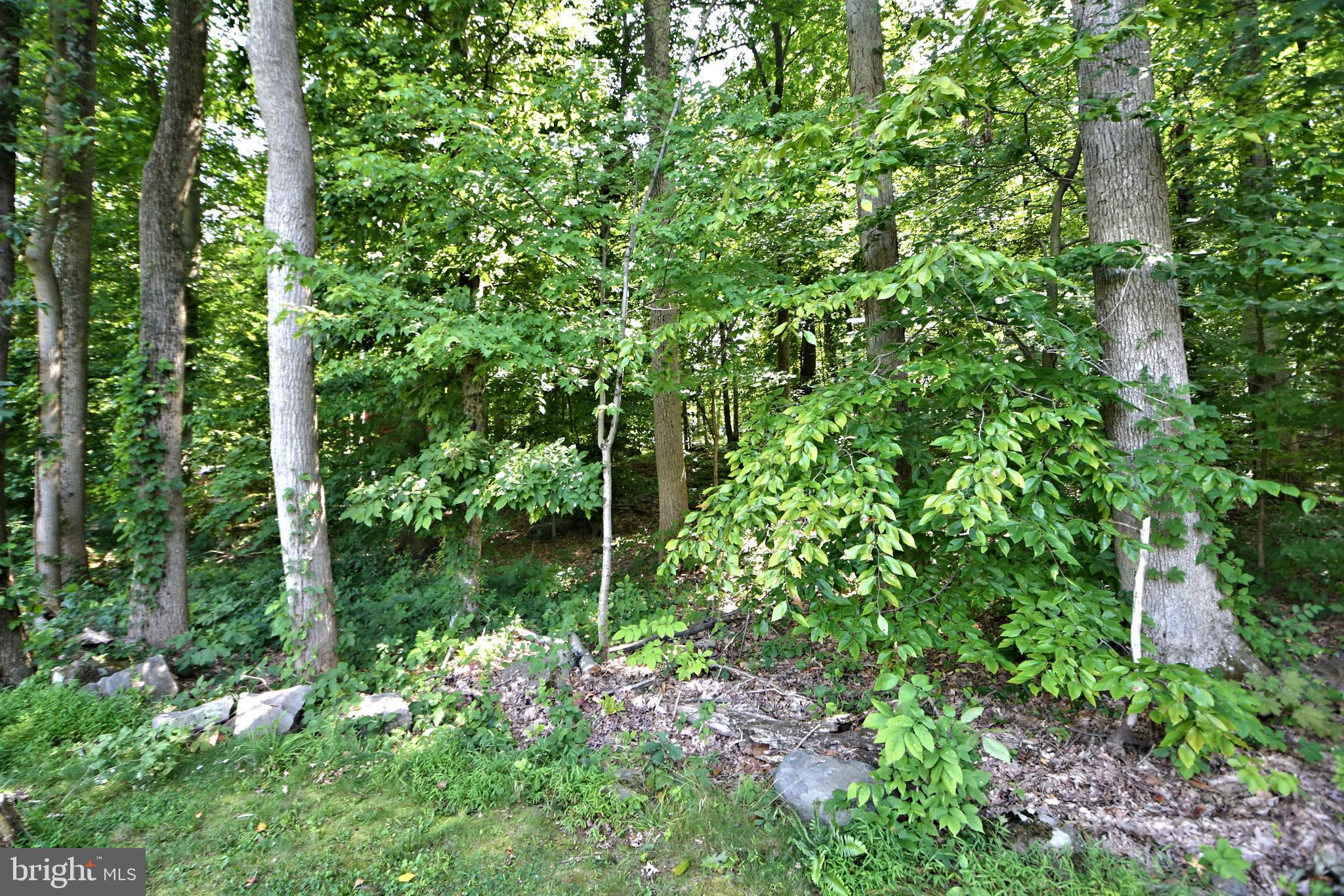 1645 Kumry Road Quakertown, PA 18951 - Photo 27 of 29 Gallery Image 27
