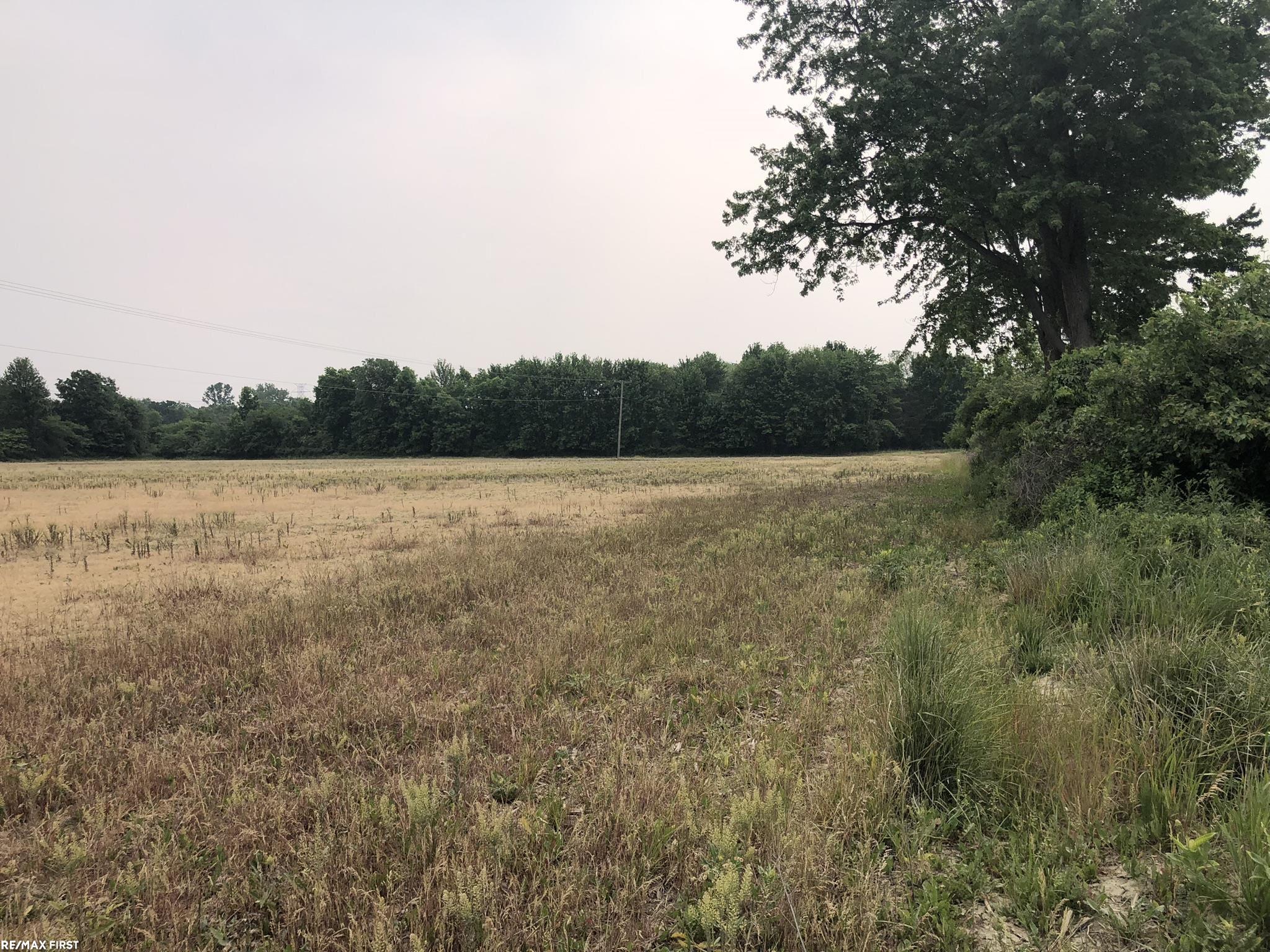 0 29 29 Mile Road New Haven, MI 48050 - Photo 3 of 38