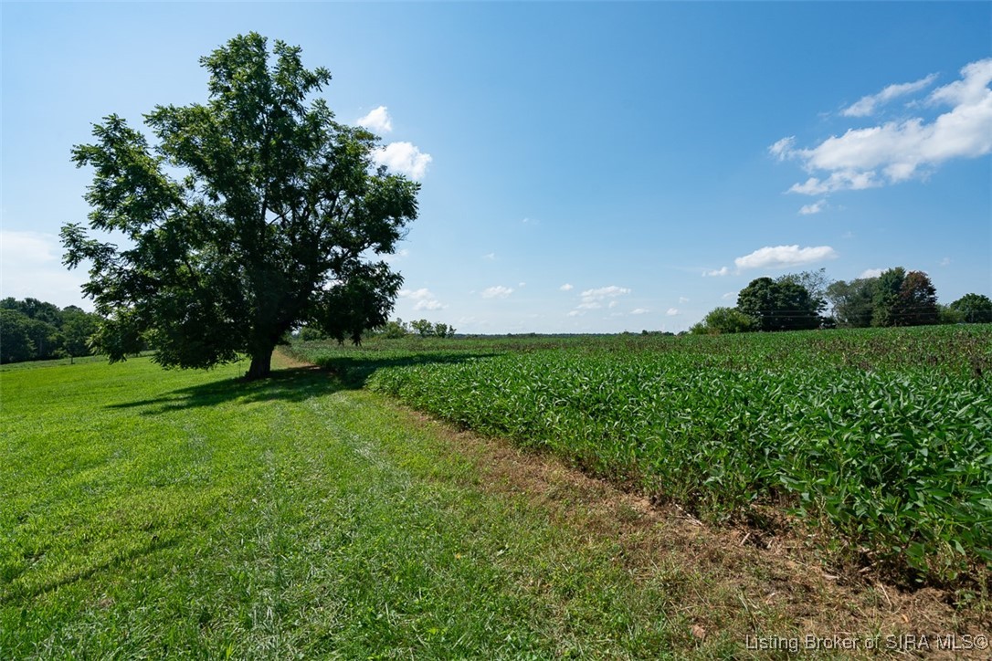 Tract 1-8.20 Acres Kepley Road Georgetown, IN 47122 - Photo 16 of 18 Gallery Image 16