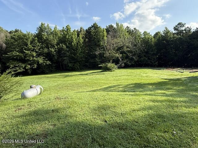 537 Concord Road Lamar, MS 38642 - Photo 3 of 11 back yard