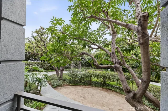 a view of a yard with plants and large trees