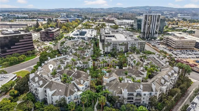 a plant with lots of plants