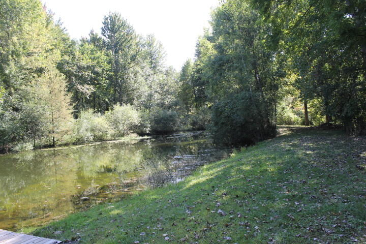 12150 Lone Tree Road Milford, MI 48380 - Photo 4 of 25