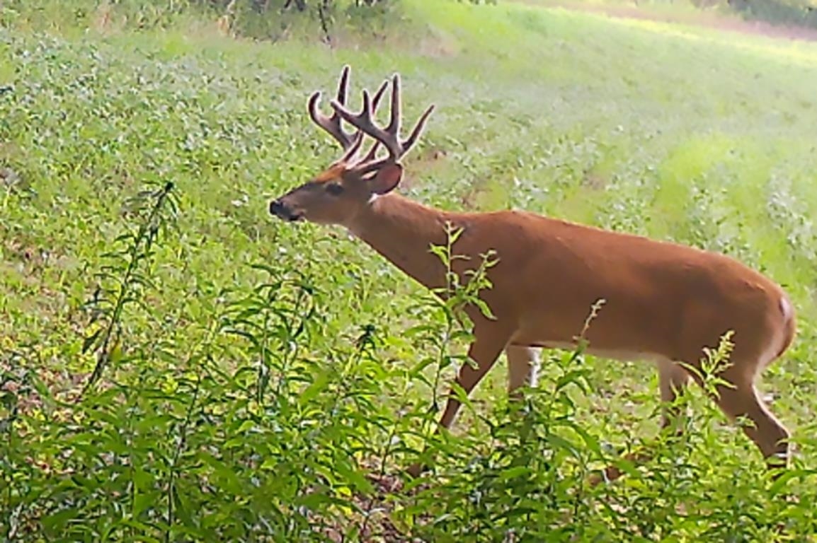 Garrity Road Manawa, WI 54949 - Photo 19 of 21
