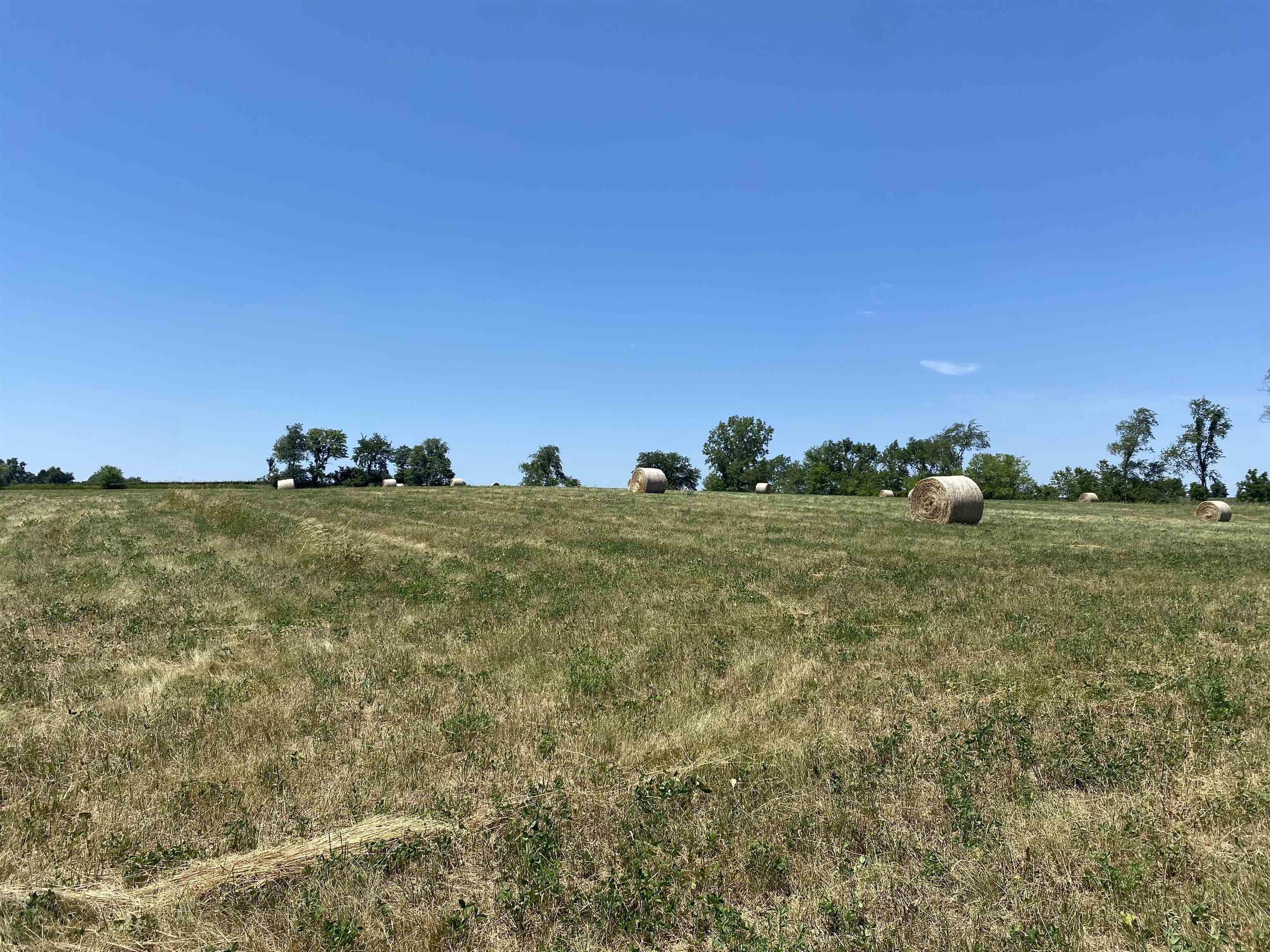 7420 East Maize Road Ridott, IL 61067 - Photo 2 of 2 a backyard of a house with lots of green space