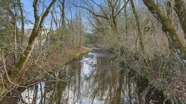 $265,000 | 0 Cobb Hollow Road, Lynchburg, TN 37352
