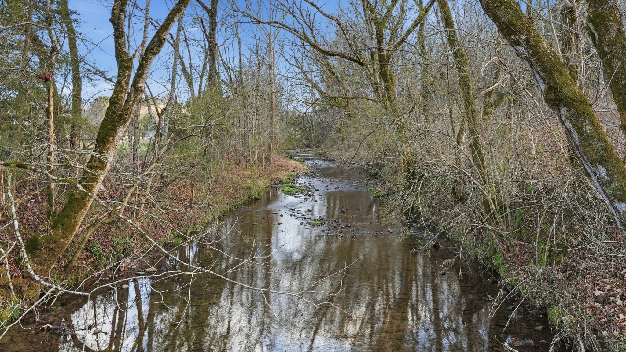 0 Cobb Hollow Road Lynchburg, TN 37352 - Photo 3 of 13