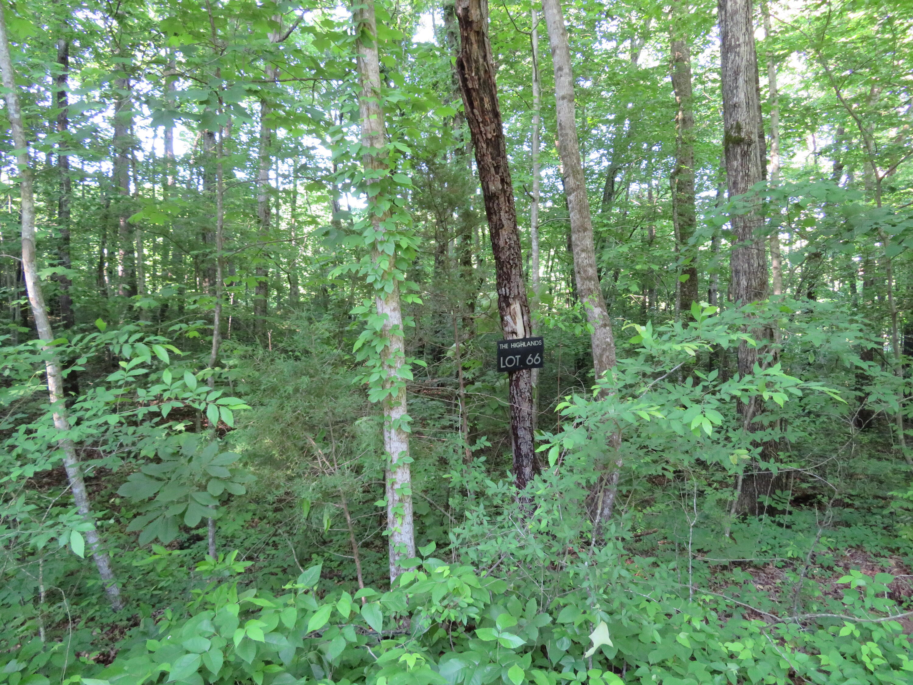 66 Golf Villa Drive Dunlap, TN 37327 - Photo 2 of 7 IMG_0555