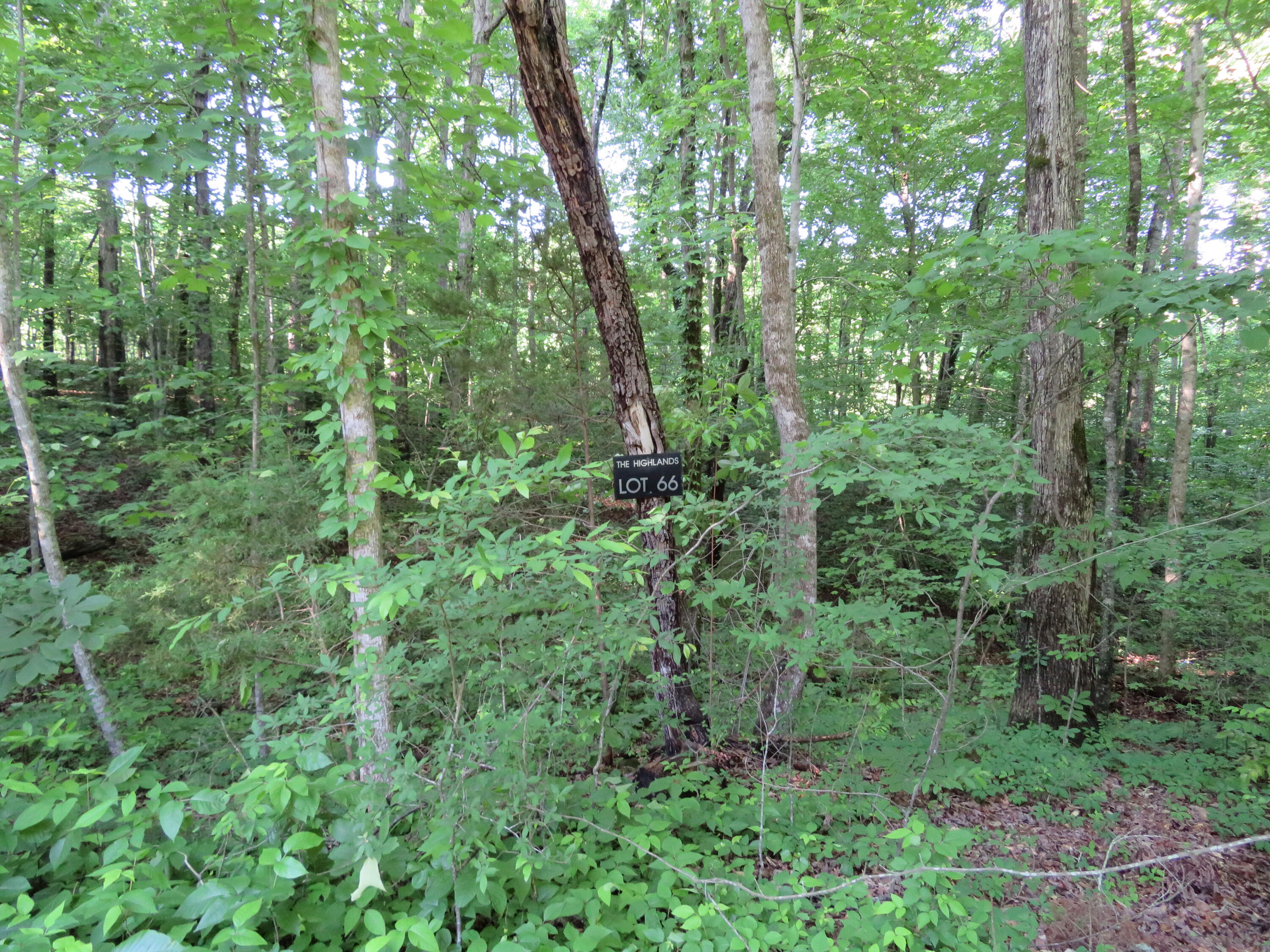 66 Golf Villa Drive Dunlap, TN 37327 - Photo 5 of 7 IMG_0558