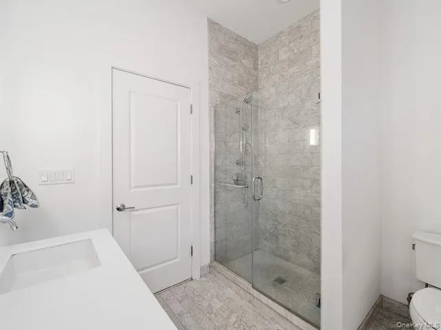 a bathroom with a shower and toilet