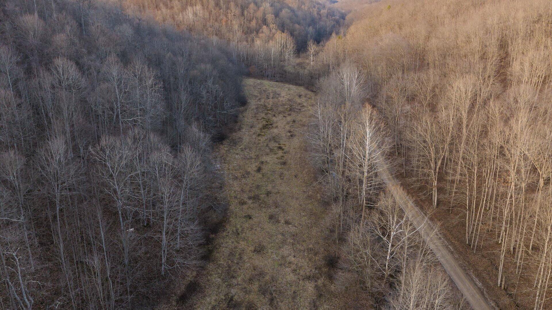 31201 Claypool Hollow Road McArthur, OH 45651 - Photo 86 of 89 094-z 31201 Claypool128