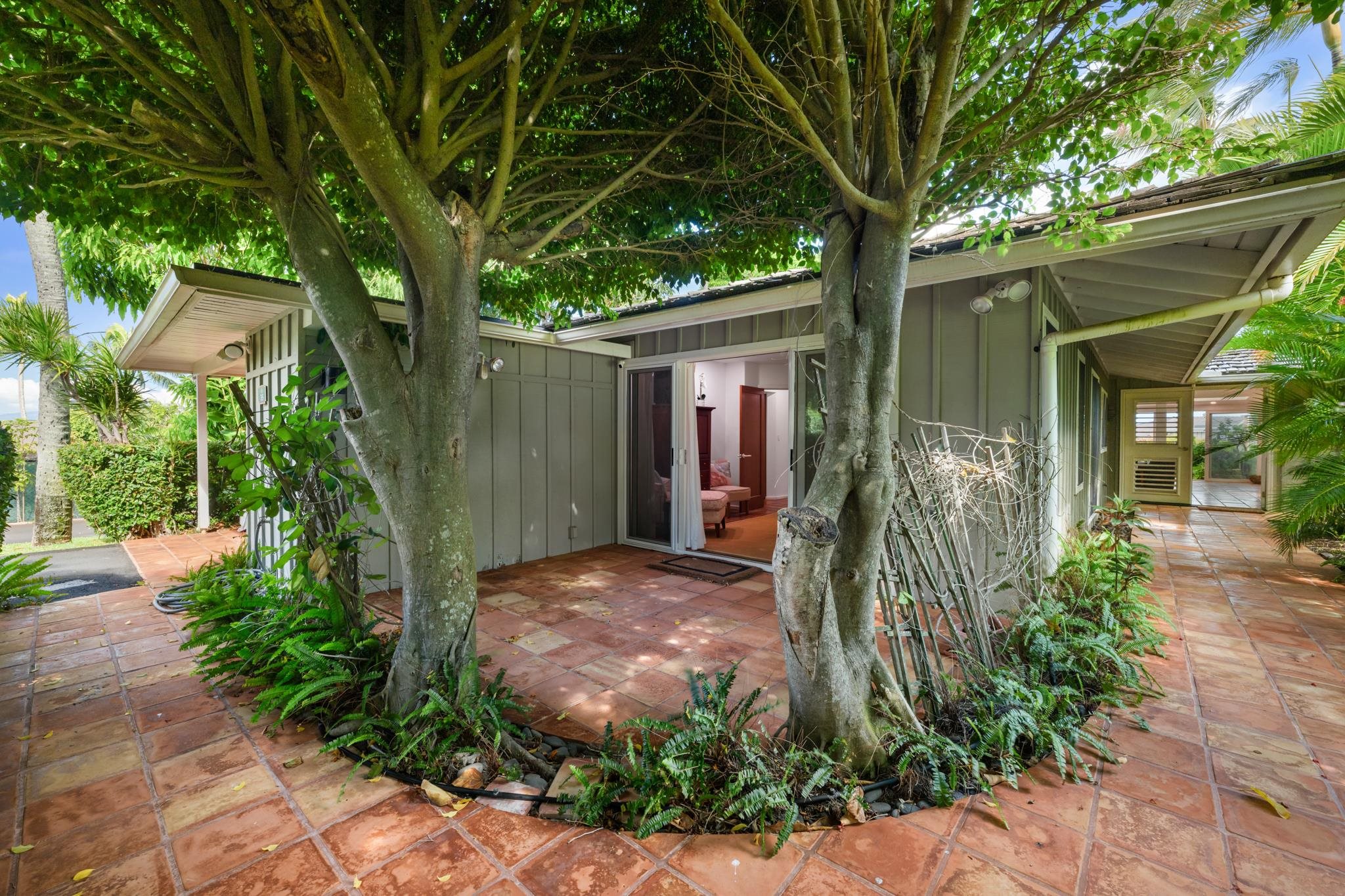 20 Hui Road East, Unit 35 Lahaina, HI 96761 - Photo 29 of 50 a view of a backyard with potted plants and large trees