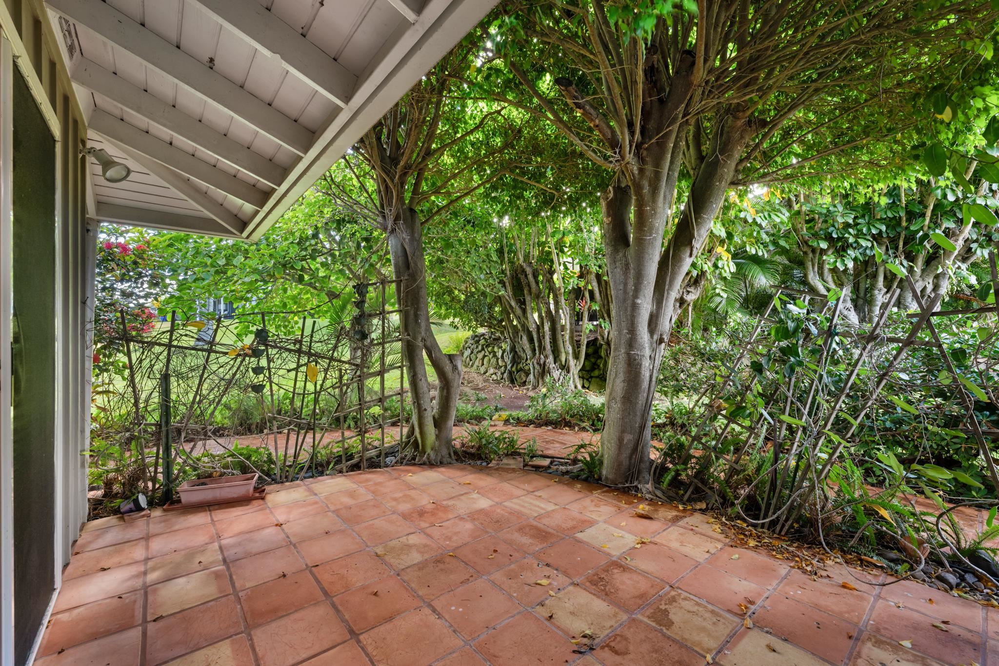 20 Hui Road East, Unit 35 Lahaina, HI 96761 - Photo 30 of 50 a view of backyard with plants and large trees