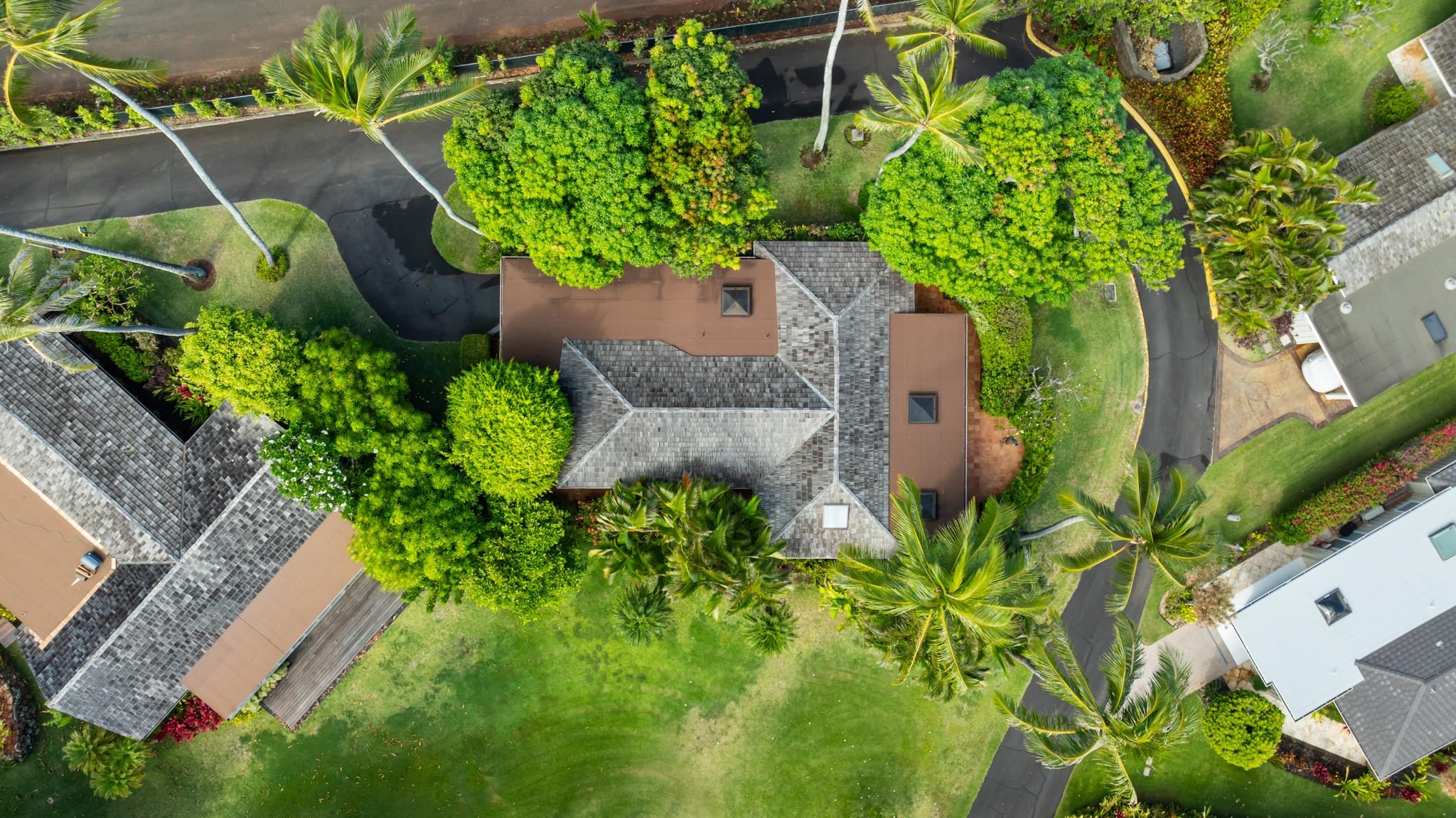 20 Hui Road East, Unit 35 Lahaina, HI 96761 - Photo 43 of 50 a plant that is in a garden