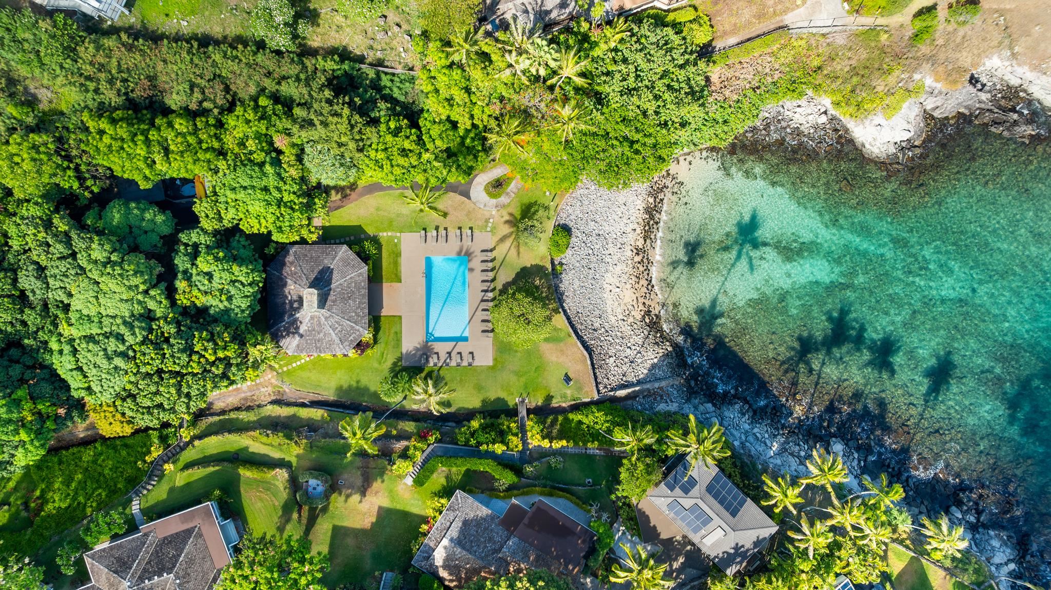 20 Hui Road East, Unit 35 Lahaina, HI 96761 - Photo 45 of 50 a plant that is sitting in a garden