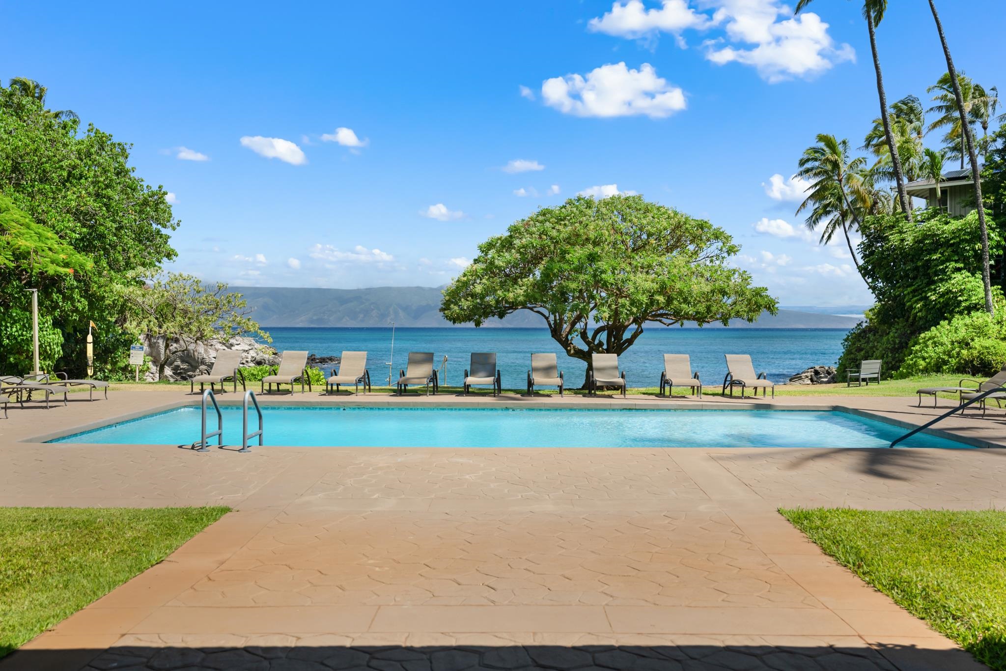 20 Hui Road East, Unit 35 Lahaina, HI 96761 - Photo 47 of 50 a view of a house with a yard and potted plants