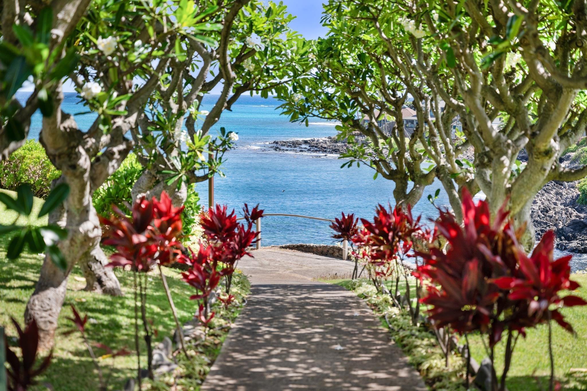 20 Hui Road East, Unit 35 Lahaina, HI 96761 - Photo 49 of 50 a picture of flowers