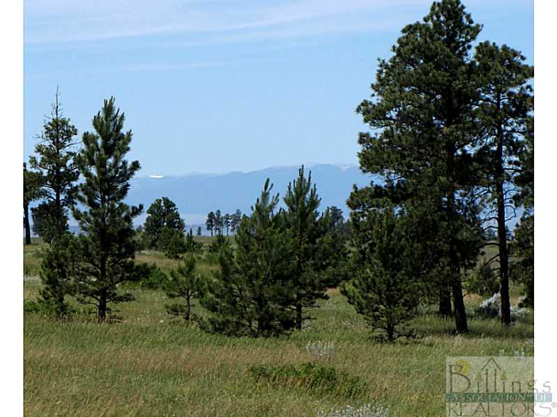 37 East Side Road Roundup, MT 59072 - Photo 1 of 1 Land/Lot. Snowy Mountain Views