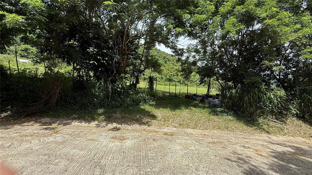 Undisclosed Address Cayey, PR 00736 - Photo 1 of 1 Gallery Image 1