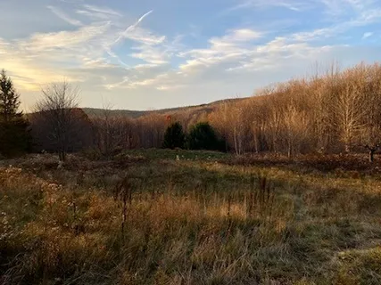 $349,000 | 1855 Davis Hollow Road, Andes, NY 13731