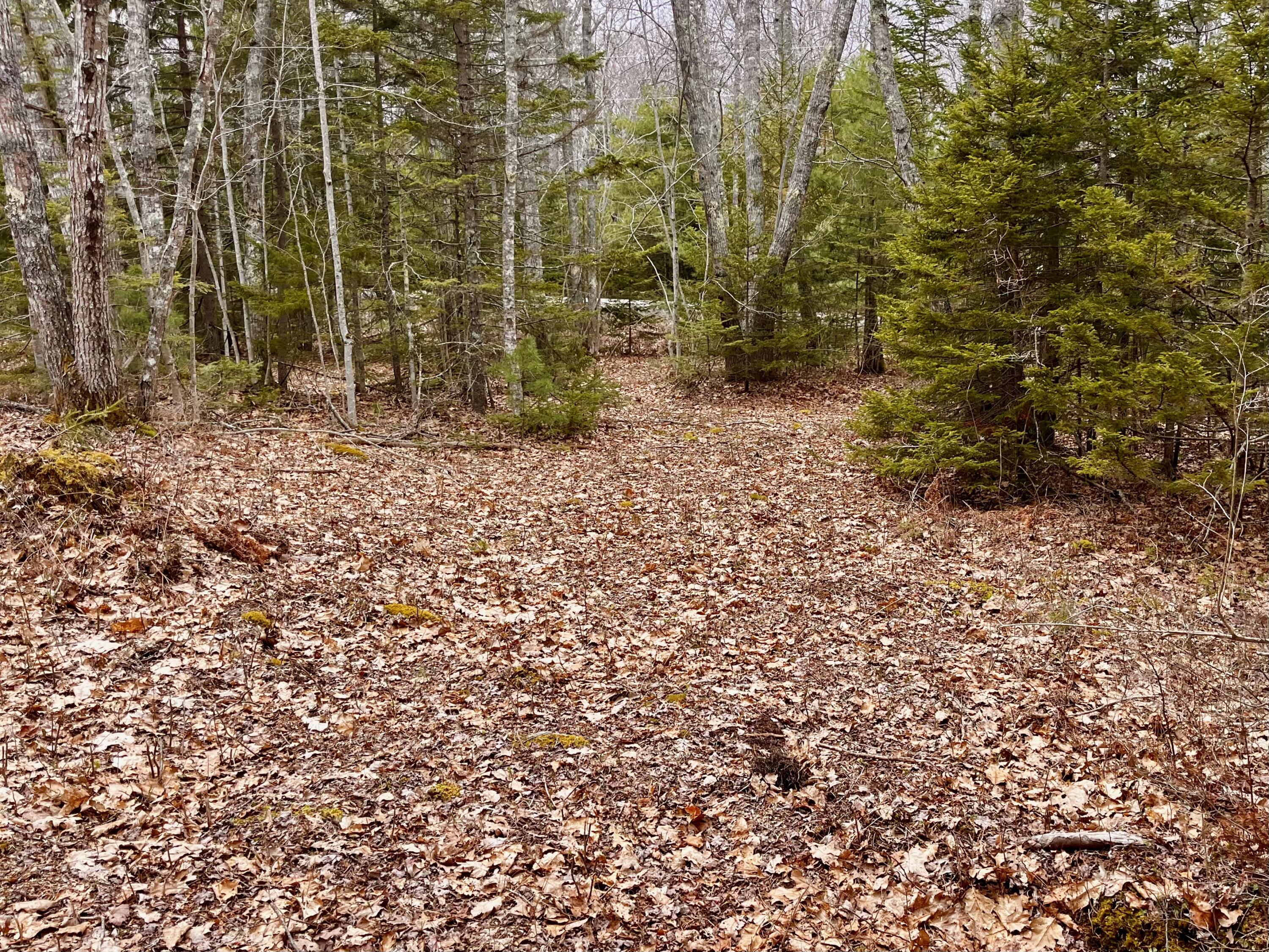92 L Russel Road Chamberlain, ME 04541 - Photo 14 of 21