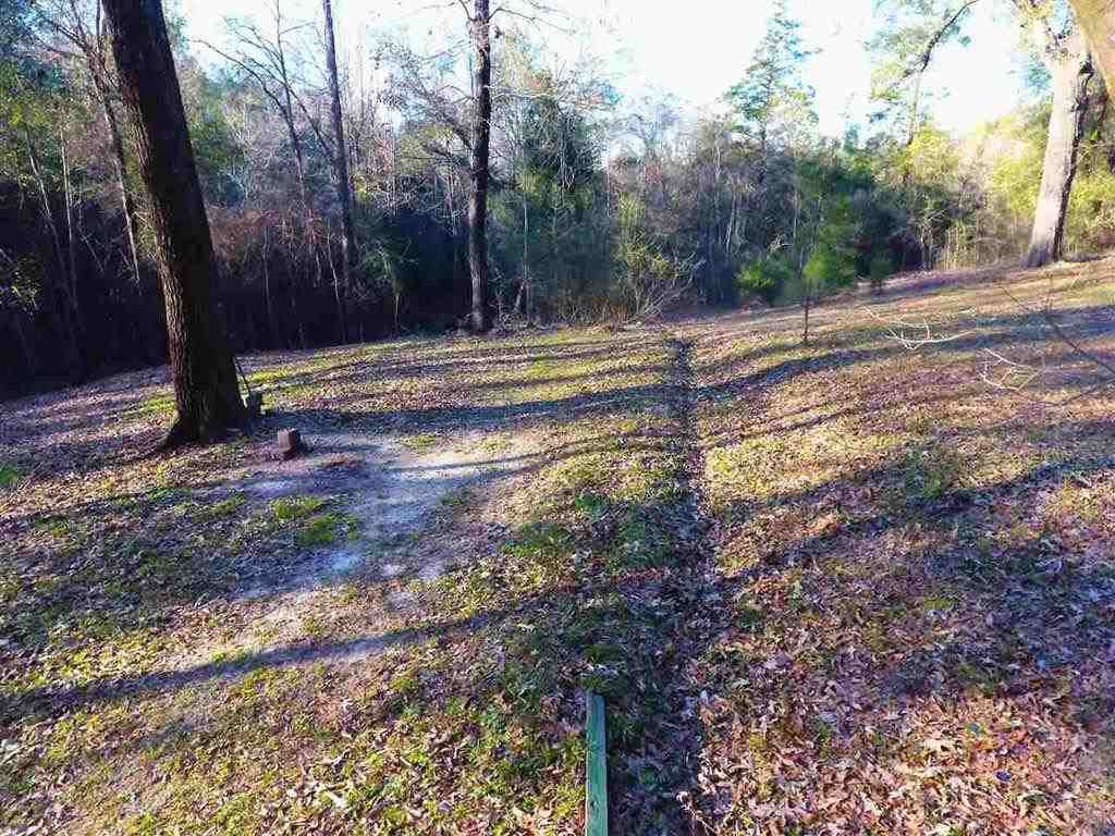 2899 Brooklyn Road Evergreen, AL 36401 - Photo 9 of 33 Gallery Image 9