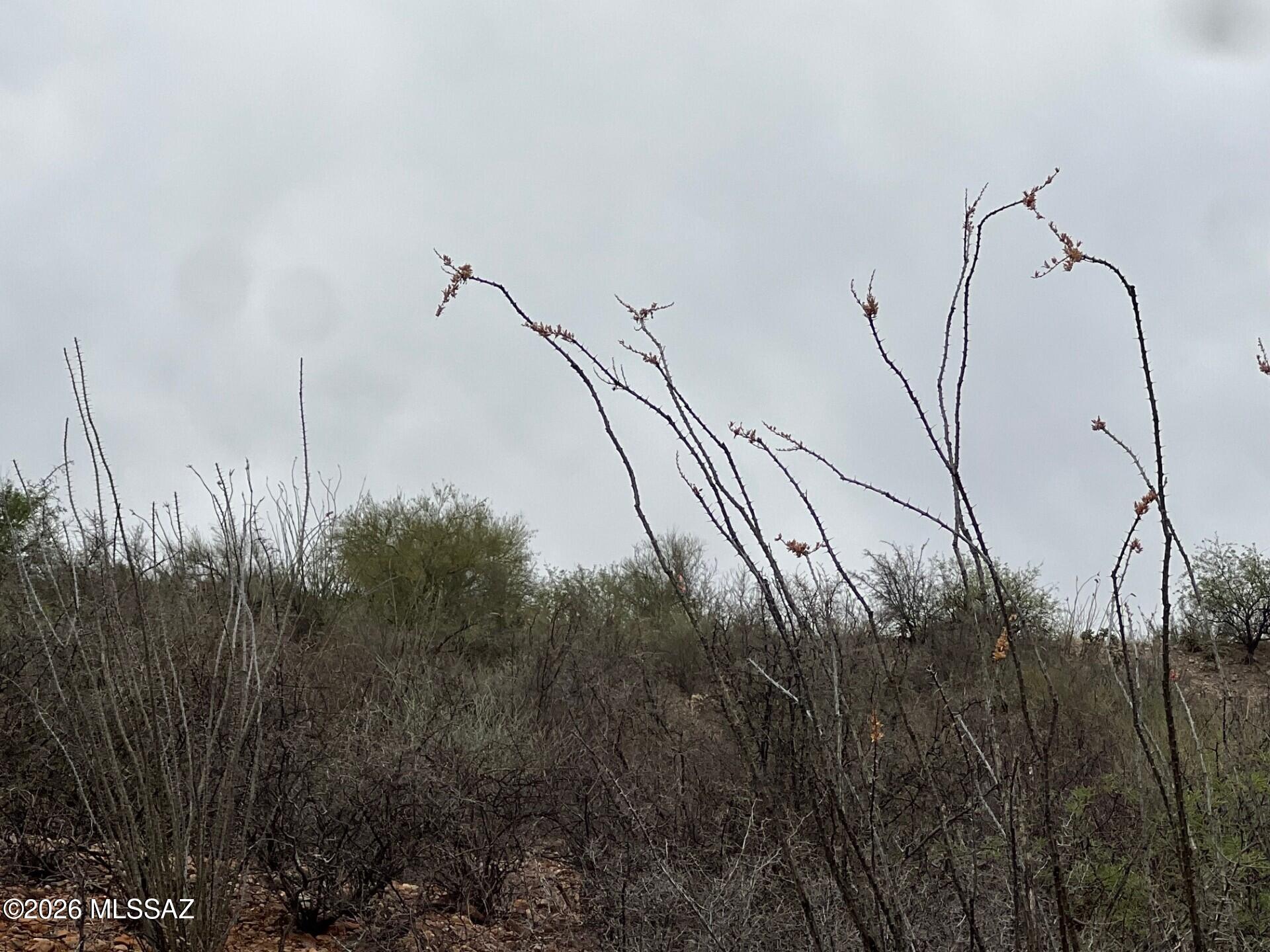 1835 Camino China, Unit 3 Rio Rico, AZ 85648 - Photo 2 of 19 7e690b3e-d420-4d2e-a7f4-73122faa781d