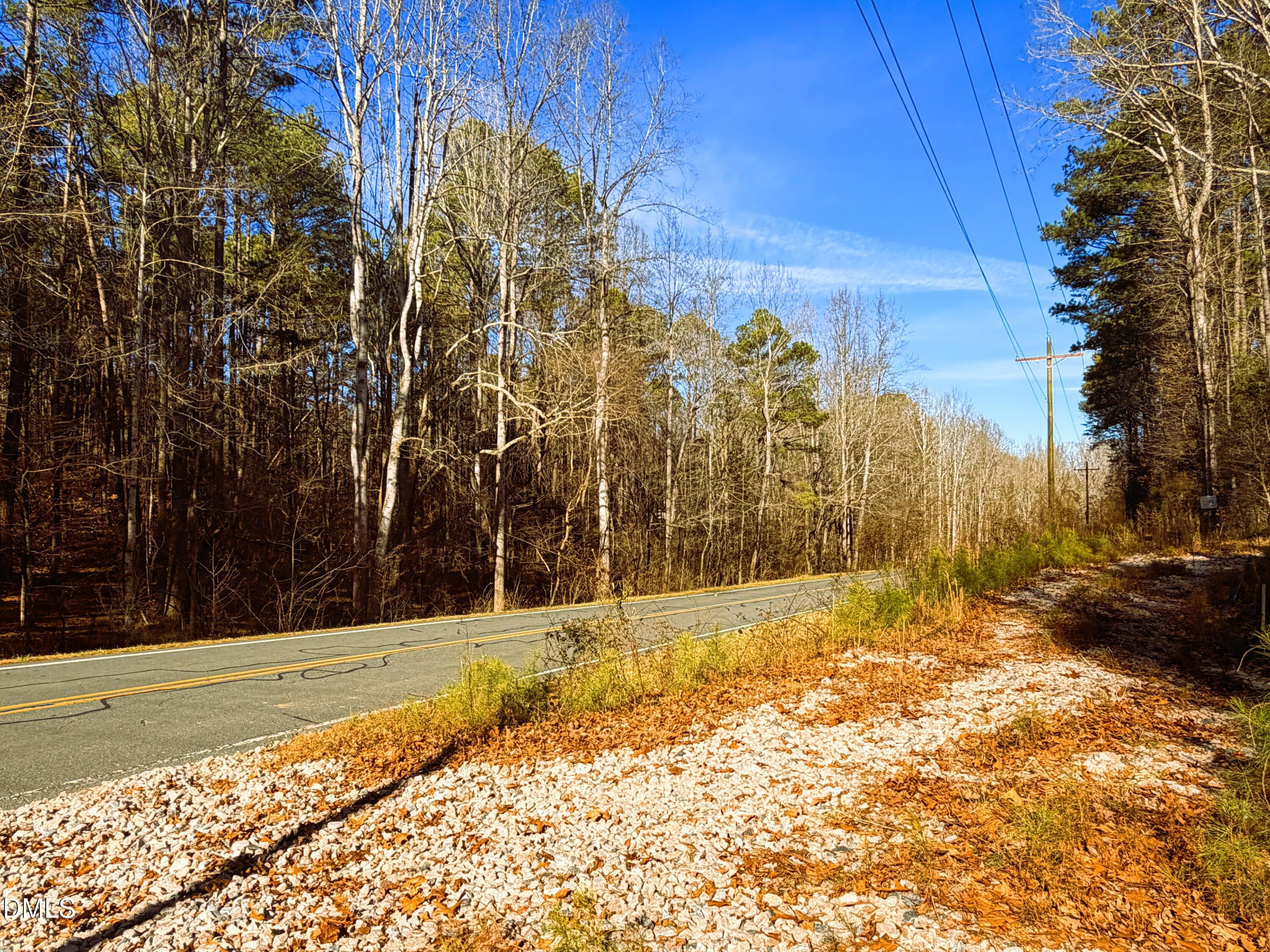 318 Jones Ferry Road Pittsboro, NC 27312 - Photo 11 of 17 a view of a yard with trees