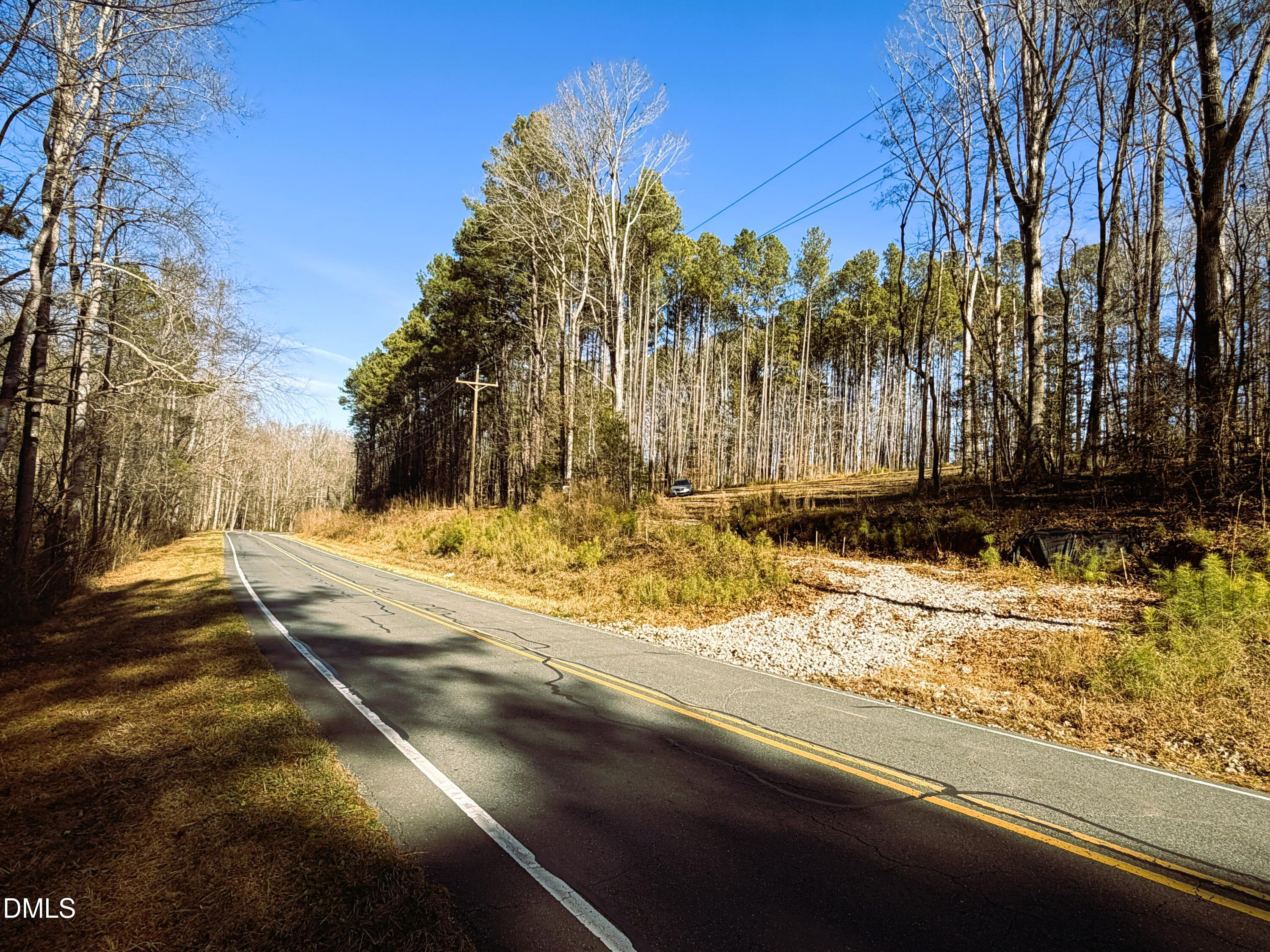 318 Jones Ferry Road Pittsboro, NC 27312 - Photo 12 of 17 a view of a yard with trees
