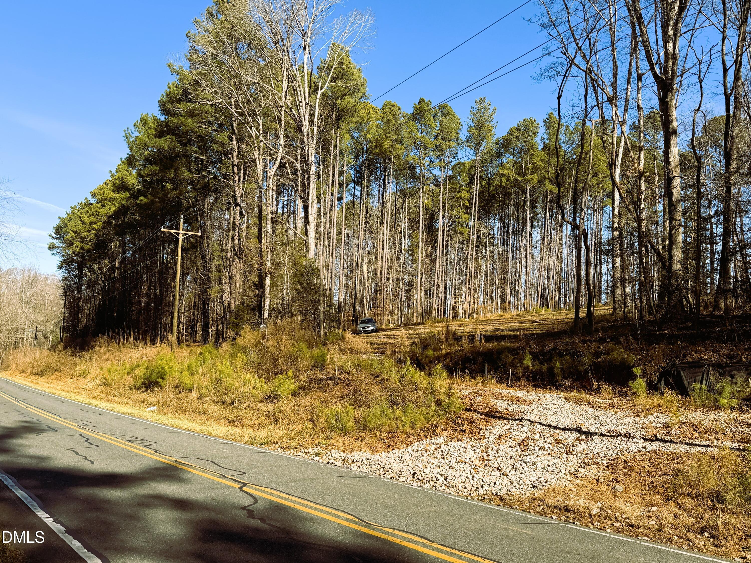 318 Jones Ferry Road Pittsboro, NC 27312 - Photo 13 of 17 a view of a yard with an trees