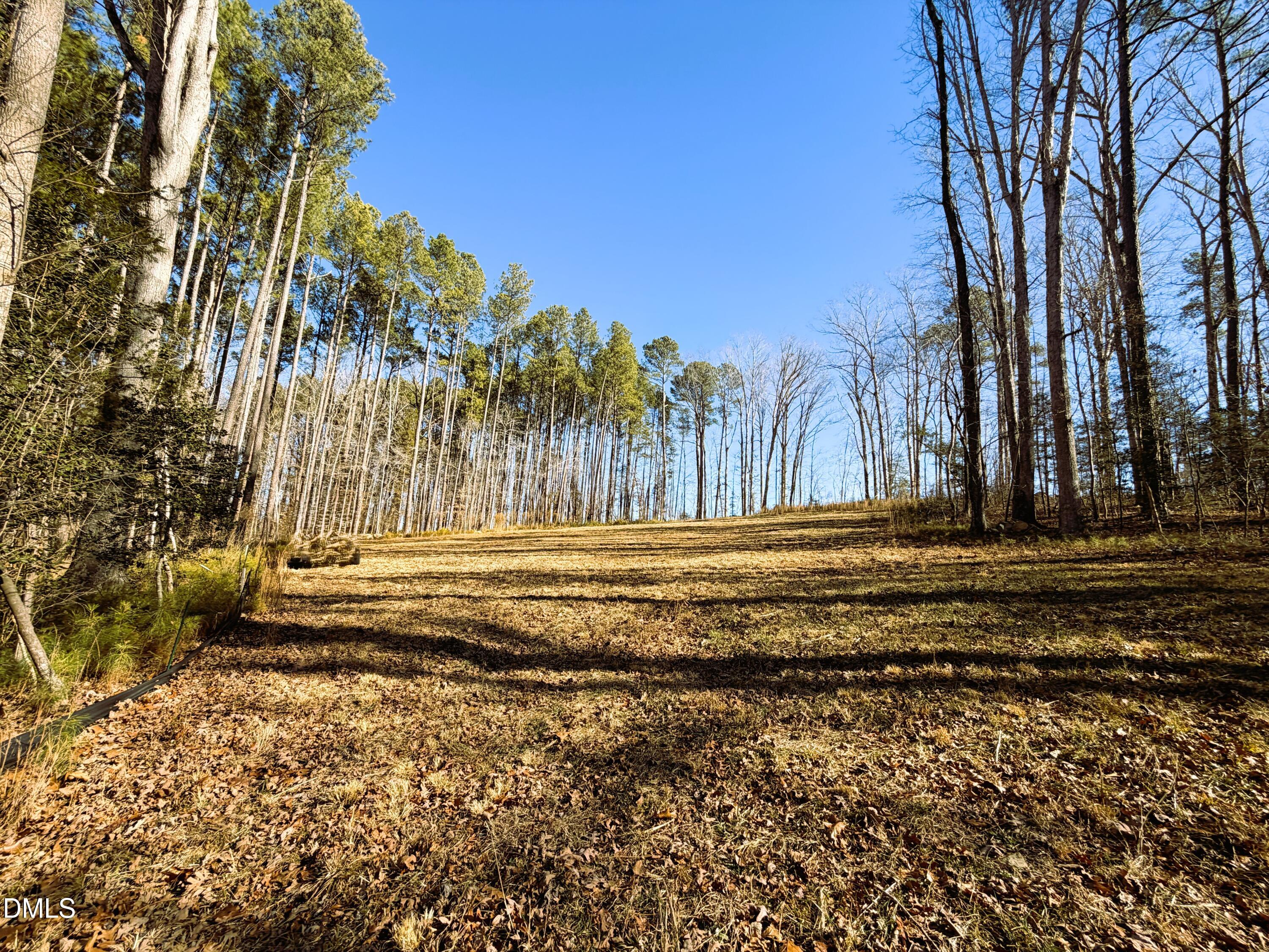 318 Jones Ferry Road Pittsboro, NC 27312 - Photo 2 of 17 a view of tiny house with a yard