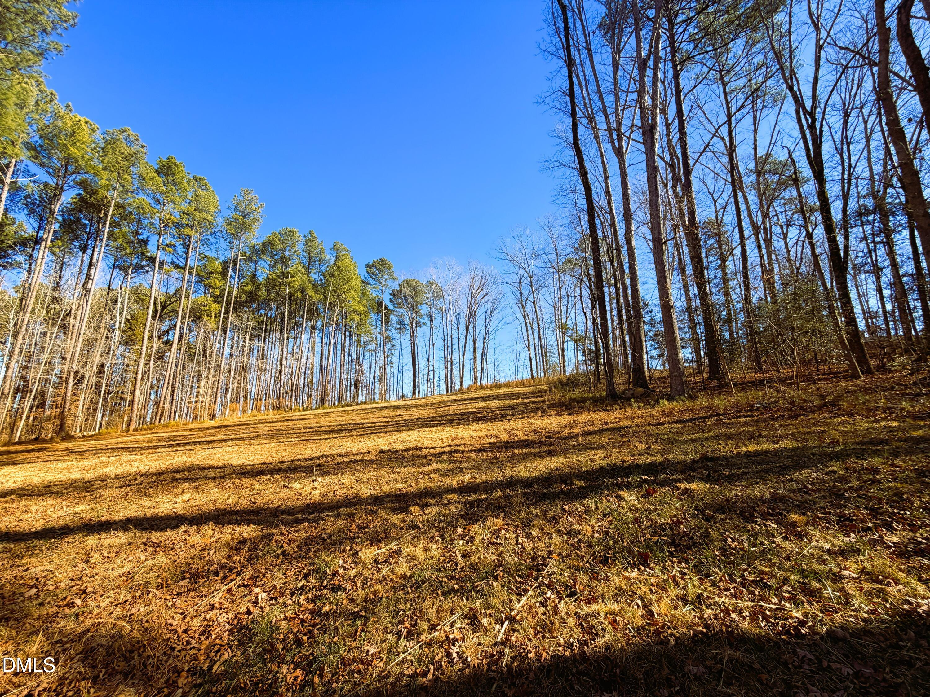 318 Jones Ferry Road Pittsboro, NC 27312 - Photo 3 of 17 a view of outdoor space with garden
