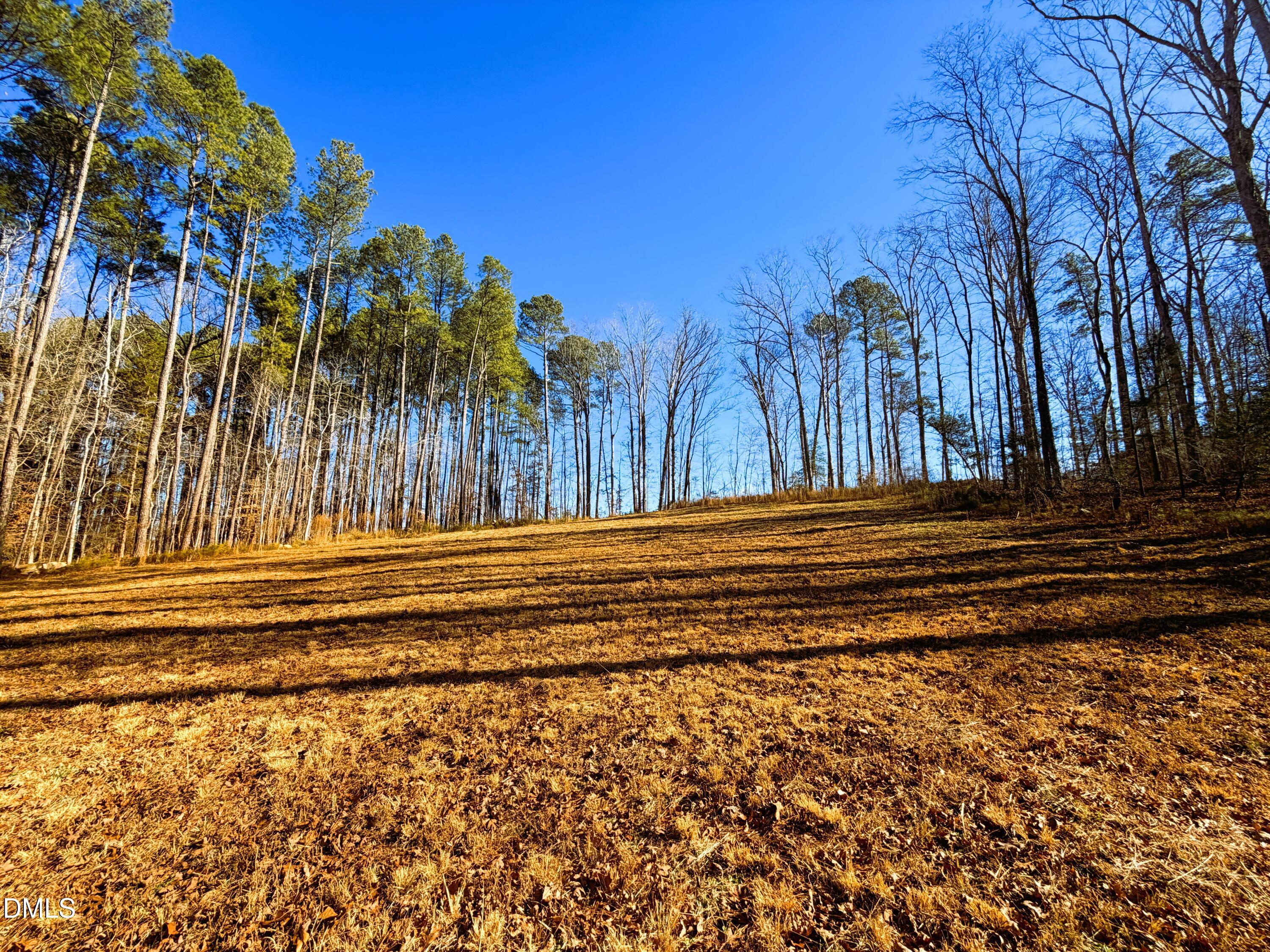 318 Jones Ferry Road Pittsboro, NC 27312 - Photo 4 of 17 a view of a door with a house